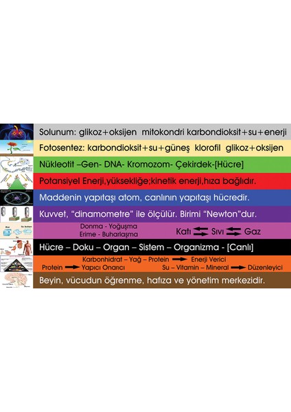 Fen - Merdiven Giydirme - MG265 fiyatları