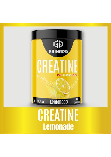 Creatine Lemonade - 250 gr 40 Servis