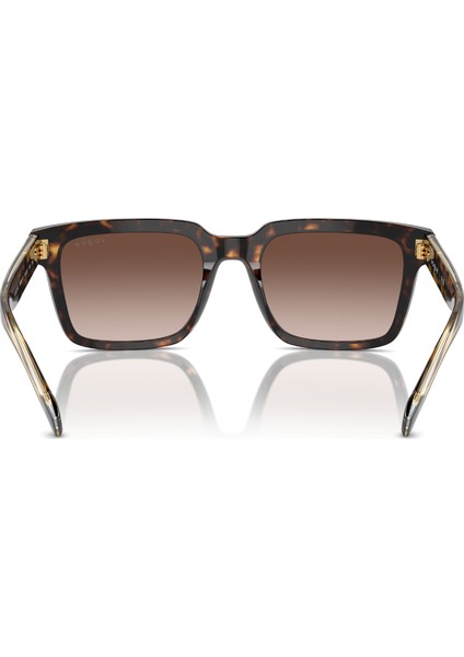 Vo 5573S W65613 55 Vogue Güneş Gözlüğü modelleri