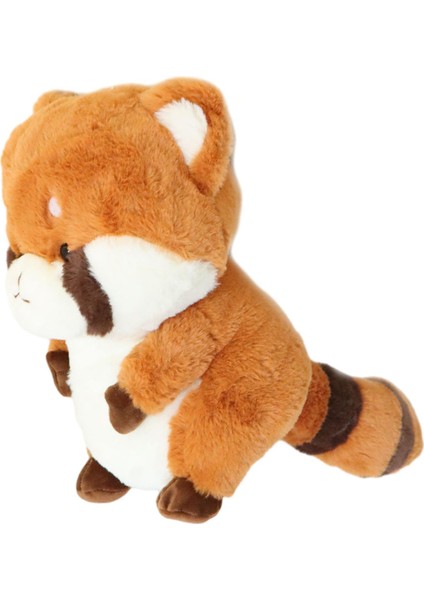 Bear Taşıma Koruması Dr (Yurt Dışından)