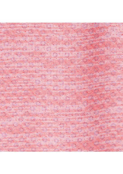 Alpine Chill Zero Kadın Kısa Kollu T-Shirt indirimleri