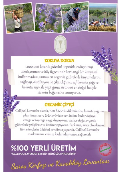 Dr. Lavender Papatya Bahçemizden Kurutulmuş Alman Papatyası Çayı + 2 Adet Kurutulmuş Lavanta Çiçeği Kesesi