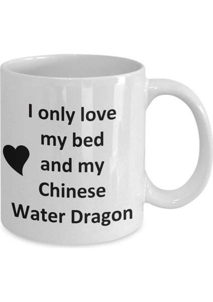 Chinese Water Dragon Lover Kupa - Reptile Pet - Love My Chinese Water Drago- Ingilizce Kupa Bardak fiyatları