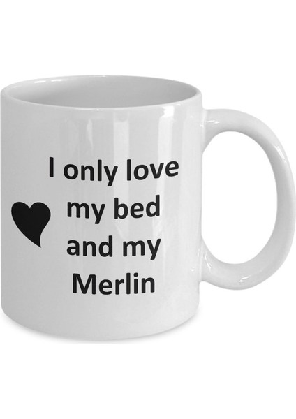 Merlin Lover Kupa - Kedi Köpek Kuş Evcil Hayvan Adı - Love My Merlin Coffee - Ingilizce Kupa fiyatları