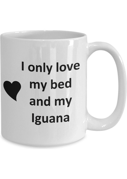 Komik Iguana Lover Kupa - Sürüngen Evcil Hayvan - Love My Iguana Coffee P- Ingilizce Kupa Bardak