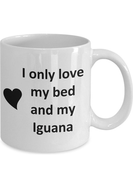 Komik Iguana Lover Kupa - Sürüngen Evcil Hayvan - Love My Iguana Coffee P- Ingilizce Kupa Bardak fiyatları