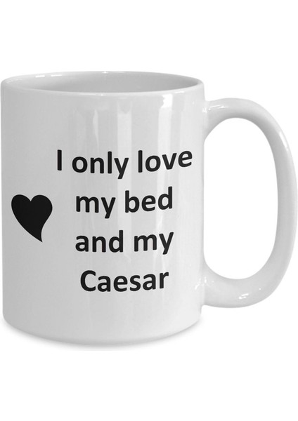 Caesar Lover Kupa - Kedi Köpek Kuş Evcil Hayvan Adı - Love My Caesar Adı Kahve - Ingilizce Kupa