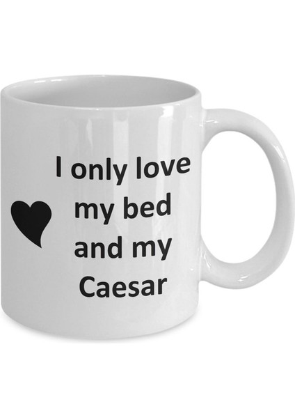 Caesar Lover Kupa - Kedi Köpek Kuş Evcil Hayvan Adı - Love My Caesar Adı Kahve - Ingilizce Kupa