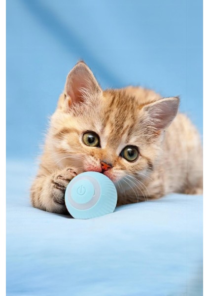 Akıllı Kedi Topu, Kendinden Hareketli Kedi Oyuncağı, Interaktif Kedi Köpek Topu, Kedi Topu