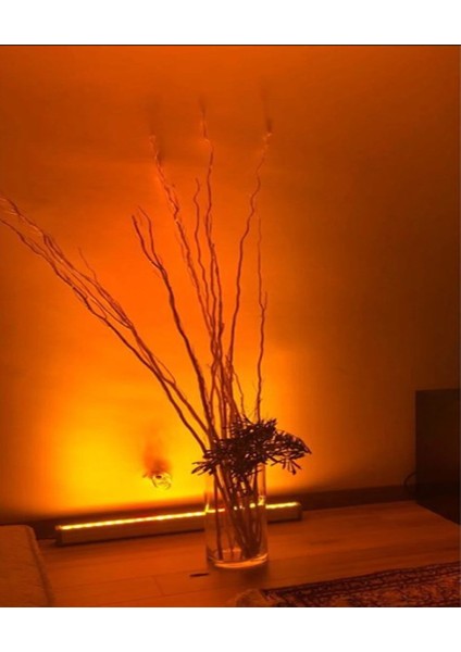 18W - 50cm AMBER Renk Led Wallwasher - Duvar Boyama fırsatları
