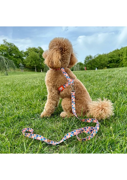 Jesorange Gezdirme Tasması Ekstra Güvenlikli Kilitli Sistem fiyatları