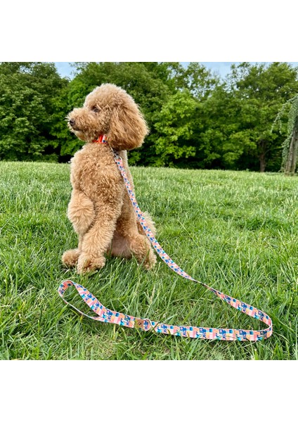 Jesorange Gezdirme Tasması Ekstra Güvenlikli Kilitli Sistem modelleri