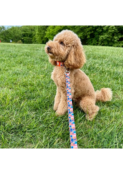 Jesorange Gezdirme Tasması Ekstra Güvenlikli Kilitli Sistem fırsatları