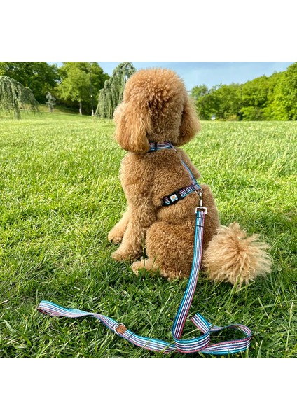 Jescolorful Gezdirme Tasması Ekstra Güvenlikli Kilitli Sistem fiyatları