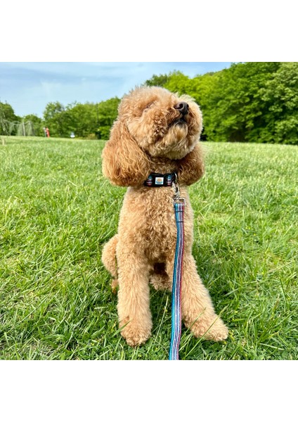 Jescolorful Gezdirme Tasması Ekstra Güvenlikli Kilitli Sistem fırsatları