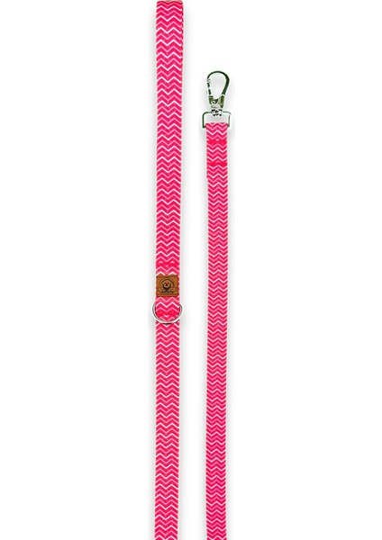 Jesred Gezdirme Tasması Ekstra Güvenlikli Kilitli Sistem