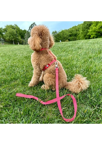 Jesred Gezdirme Tasması Ekstra Güvenlikli Kilitli Sistem fiyatları