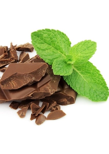 Chocolate Çikolata Kokulu Nane Fidesi (10 Adet)