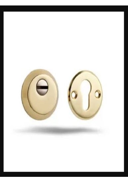 Sarı Çelik Kapı Rozeti fiyatları