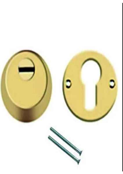 Sarı Çelik Kapı Rozeti modelleri