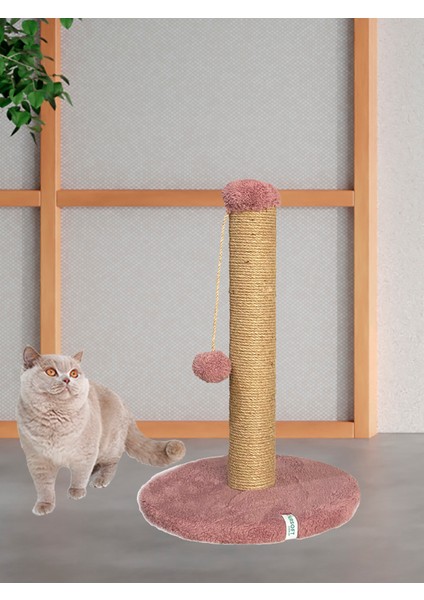 Yuvarlak Ponponlu Kedi Tırmalama Direği 52 cm Kedi Tırmalama Tahtası fiyatları