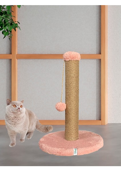 Yuvarlak Ponponlu Kedi Tırmalama Direği 52 cm Kedi Tırmalama Tahtası fiyatları