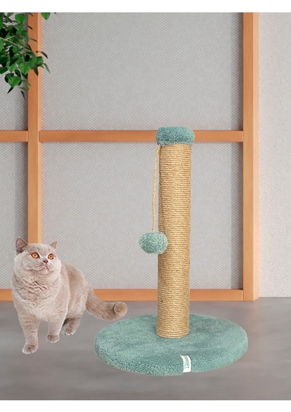 Yuvarlak Ponponlu Kedi Tırmalama Direği 52 cm Kedi Tırmalama Tahtası fiyatları