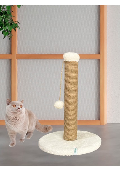 Yuvarlak Ponponlu Kedi Tırmalama Direği 52 cm Kedi Tırmalama Tahtası fiyatları