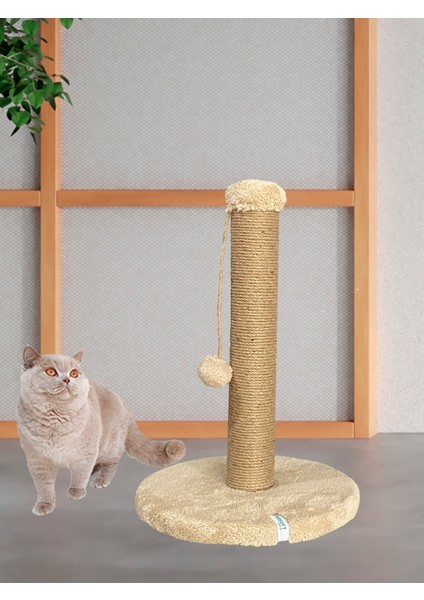 Yuvarlak Ponponlu Kedi Tırmalama Direği 52 cm Kedi Tırmalama Tahtası fiyatları