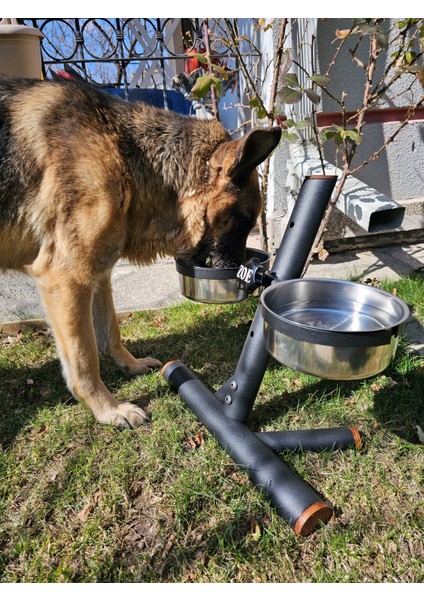 Köpek Yüksekliği Ayarlanabilir Dekoratif Metal Mama Standı ve Çelik Mama Tasları 2*2,5 Lt