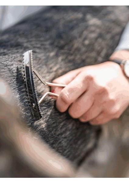 Anti Bakteriyel Nikel Kaplama Çelik Köpek Taragı Dog Rake