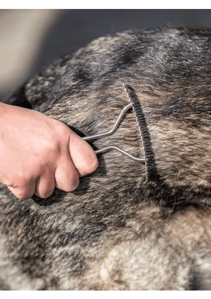 Anti Bakteriyel Nikel Kaplama Çelik Köpek Taragı Dog Rake