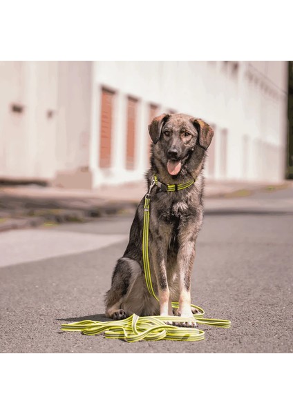 M Boy Ayarlanabilir Yeşil Köpek Tasması ( 40 - 55 Cm)