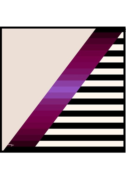 N.sport Eşarp 6454-05