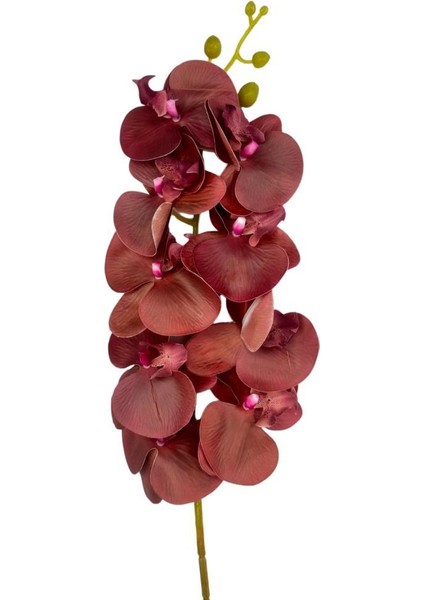 Yapay Çiçek Bordo Koyu Islak Orkide Gerçeksi Doku Uzun Dal 90 cm fiyatları