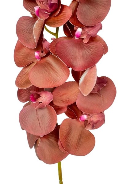 Yapay Çiçek Bordo Koyu Islak Orkide Gerçeksi Doku Uzun Dal 90 cm fırsatları