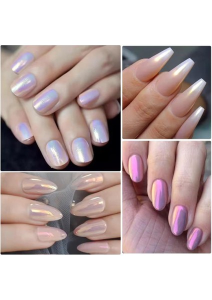 Nail Art Tırnak Süsleme Inci Tozu 6'lı Set Ayna Tozu