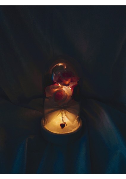 Rüya Fanus Ledli Pembe Gül Buketi Hediyelik Fanus