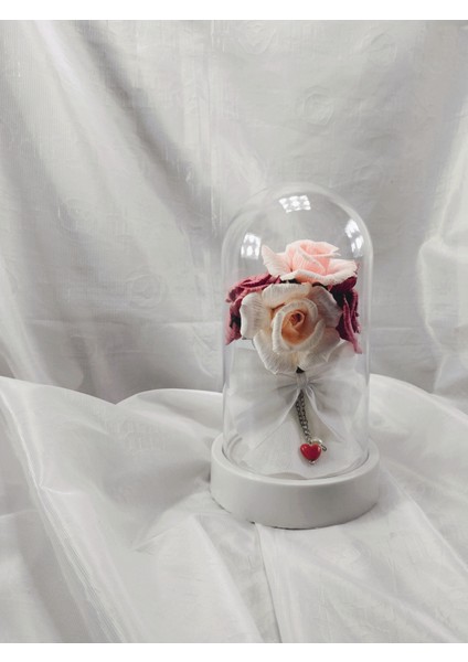 Rüya Fanus Ledli Pembe Gül Buketi Hediyelik Fanus fırsatları