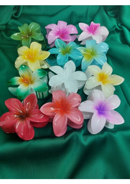 Renkli Lotus Toka (Büyük)
