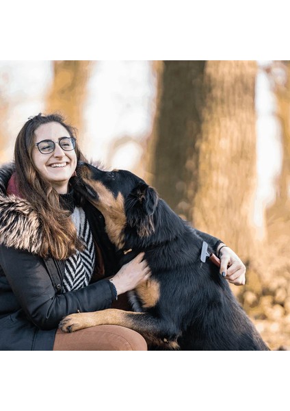 Kıtık Açıcı Tımar Tarağı