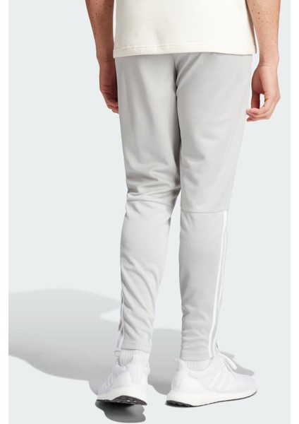 Erkek Sereno Eşofman Altı fiyatları