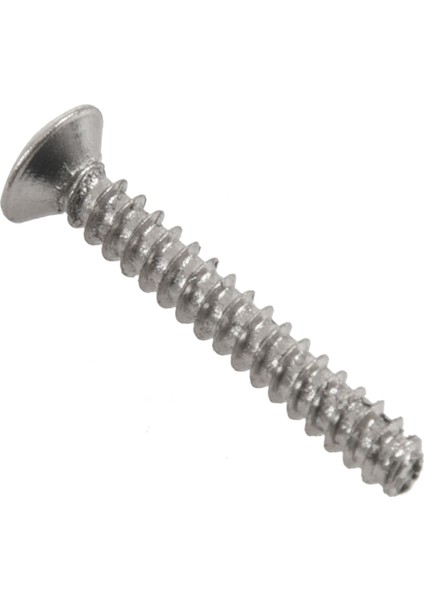 50 Adet Krom Tek Bobin Pikap Vidaları ve Fender Gitar Için Yükseklik Yaylarını Ayarlayın (Yurt Dışından)