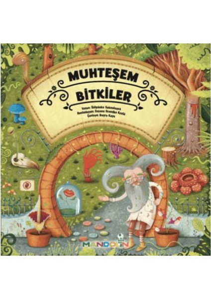 Alfa Kalem + Muhteşem Hayvanlar + Bitkiler + Eşyalar Stepanka Sekaninova 3 Kitaplık Set - Inkılap