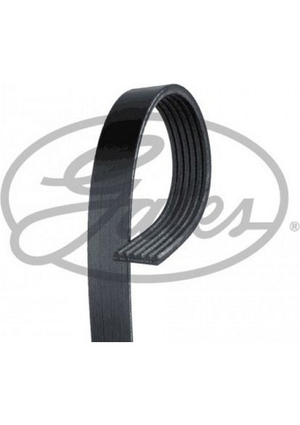 Kanalli V Kayişi (6PK1750) [ Renault Clio Ii, Kangoo 1.4 16V/1.6 16V 1998 -, Megane I 1.4 16V/1.6 16V 1999-2003, Symbol I 1.4 16V/1.6 16V 2000 - ] 18051