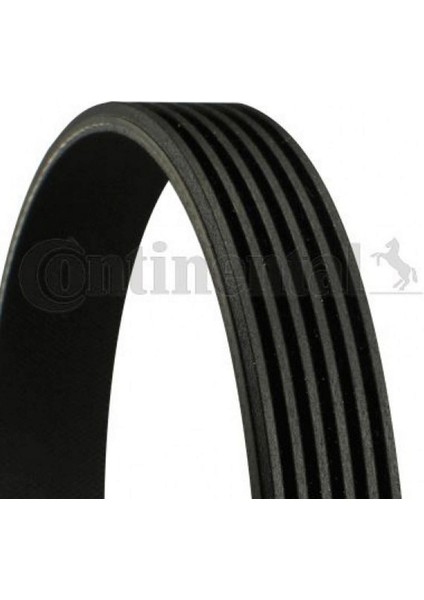 Kanalli Kayiş Bmw 3 01-05 18051