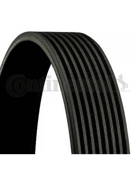 Kanalli Kayiş Mercedes Benz 3.0d 05 18051