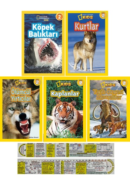 Köpek Balıkları - Kurtlar - Ölümcül Yırtıcılar - Kaplanlar - Tarih Öncesi Memeliler 5 Kitap - Matematik Öğreten Ayraç