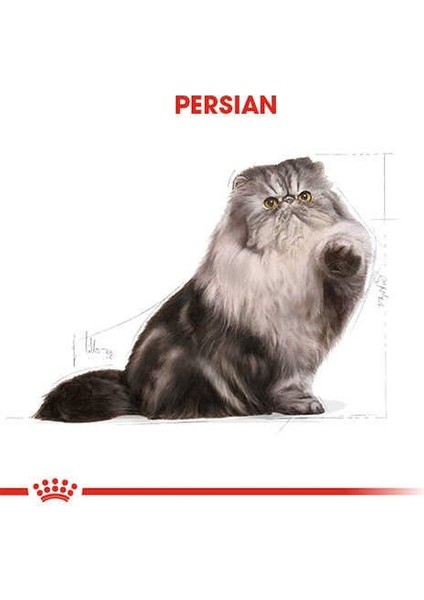Persian Adult Pouch Kedi Maması 85 Gr