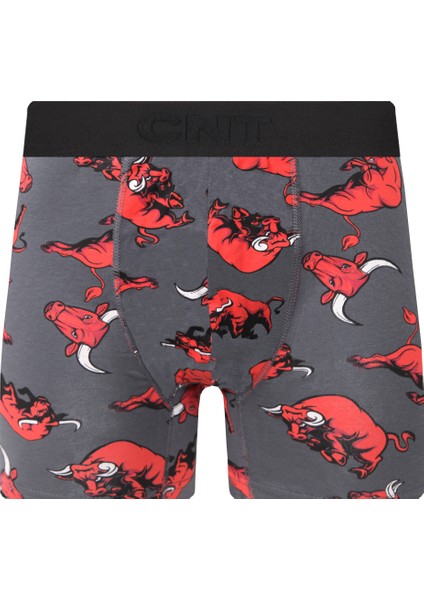 Erkek Boxer Likralı 6'lı Premium Paket modelleri